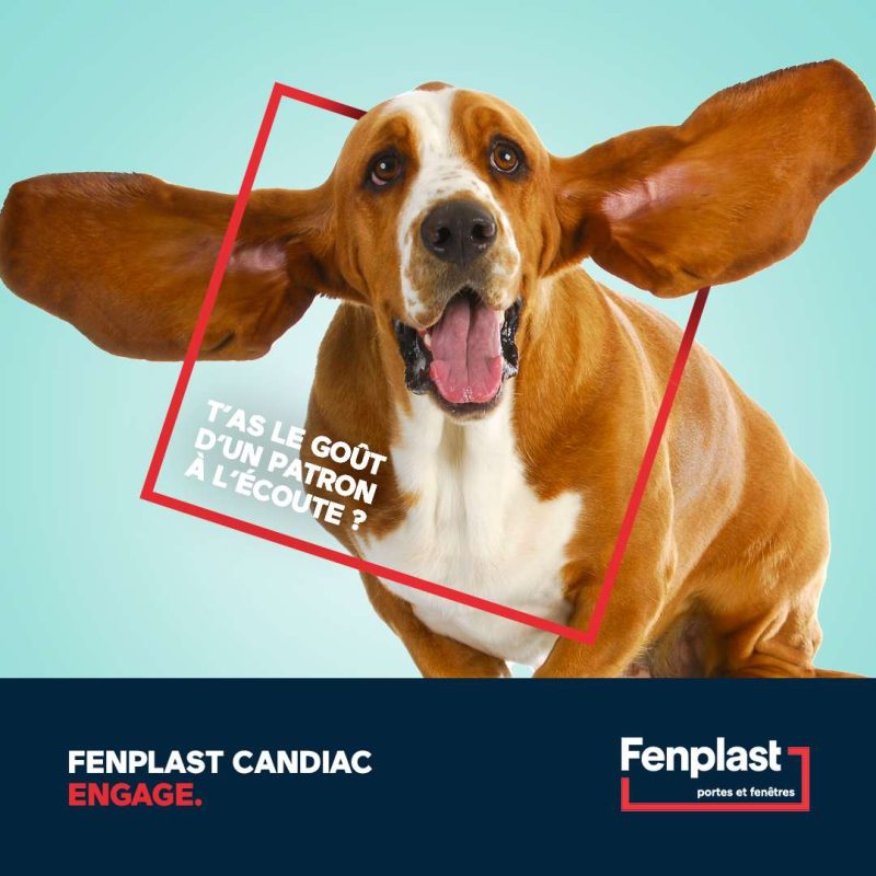 Donner du chien à une campagne - Fenplast