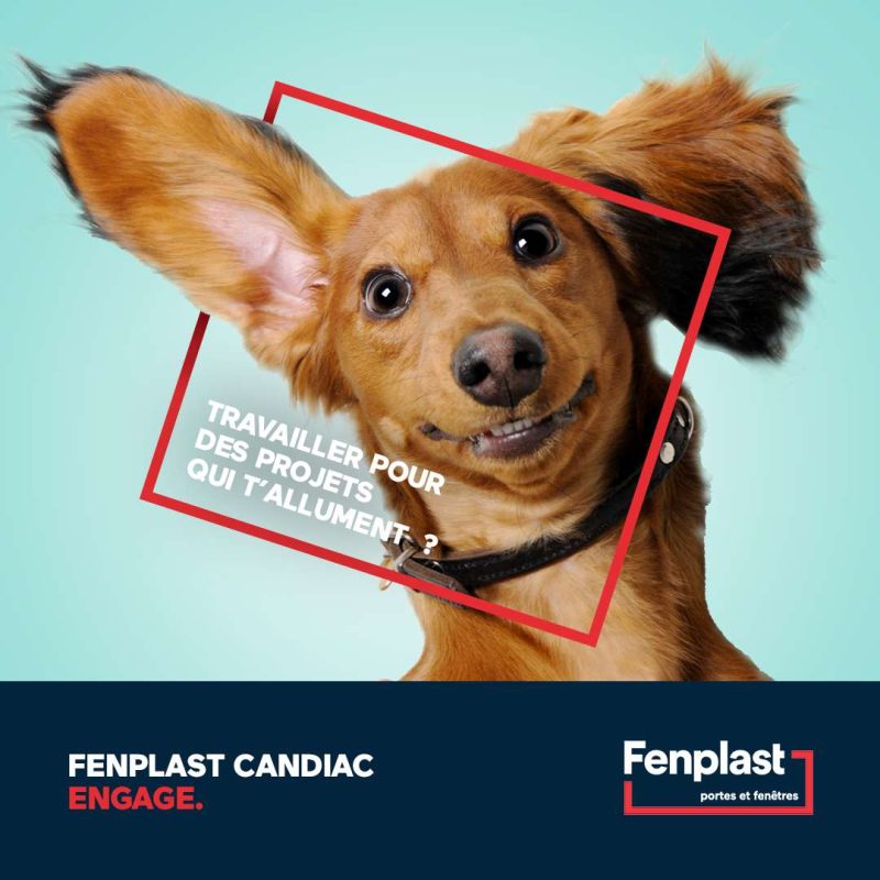 Donner du chien à une campagne - Fenplast